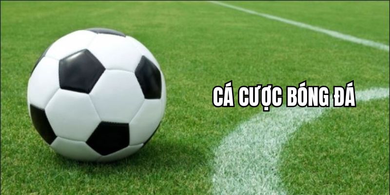 Cá Cược Bóng Đá: Thỏa Sức Đam Mê, Đem Tiền Về Túi Tại 999Bet 1 Tìm Hiểu Cá Cược Bóng Đá