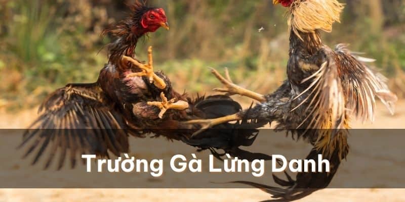 ga choi c1 675dafa53650c