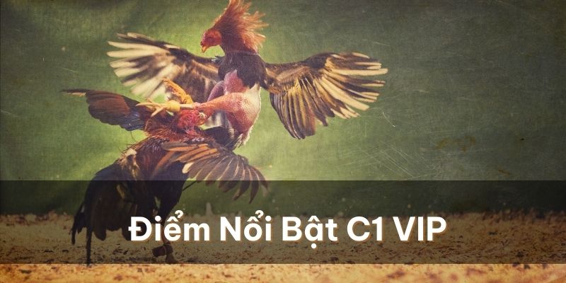 Gà Chọi C1 - Đỉnh Cao Chiến Kê Hội Tụ Toàn Cầu 3 Những điểm nổi bật khi tham gia C1 VIP