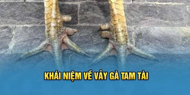 vay ga tam tai 675ef34cd4bcd